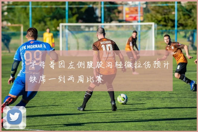 字母哥因左侧腹股沟轻微拉伤预计缺席一到两周比赛