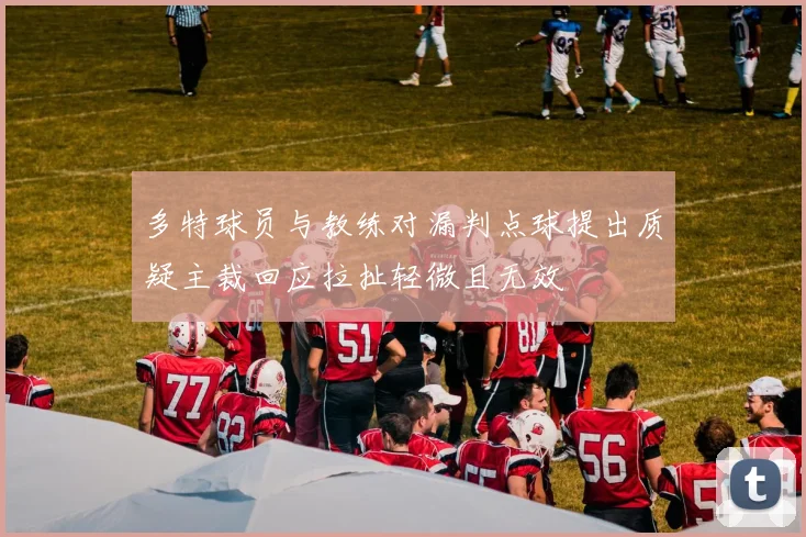 多特球员与教练对漏判点球提出质疑主裁回应拉扯轻微且无效